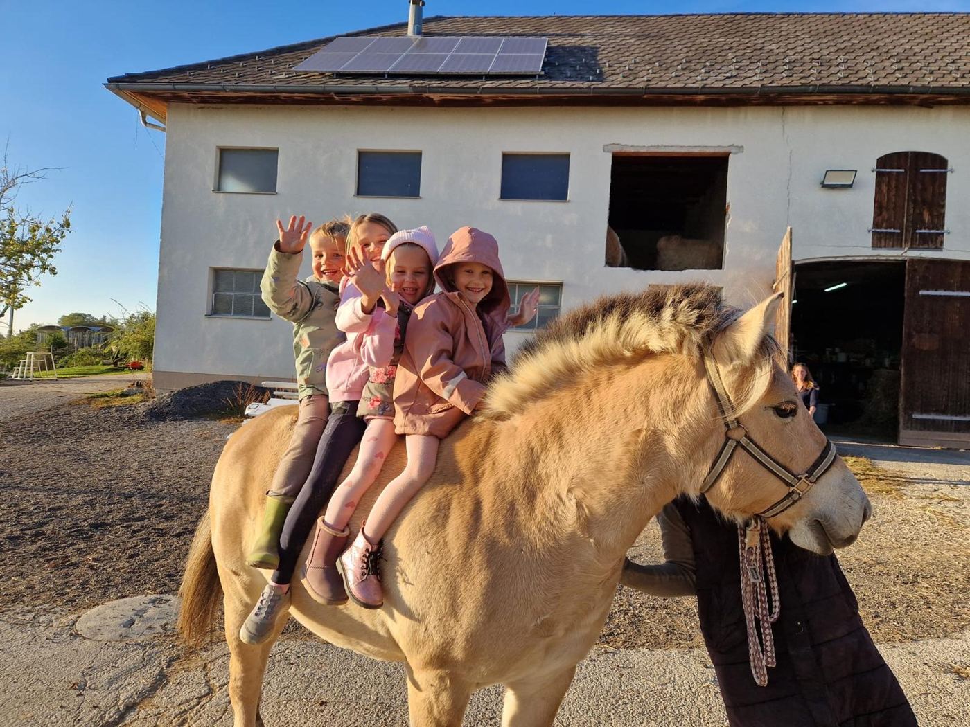 Vier Kinder auf einem Pferd