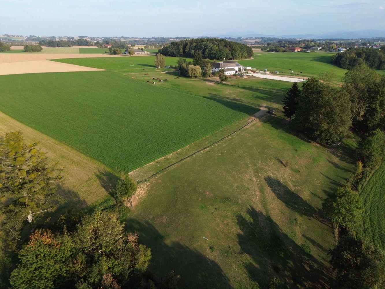 Weiden und Wald rund um den Hof