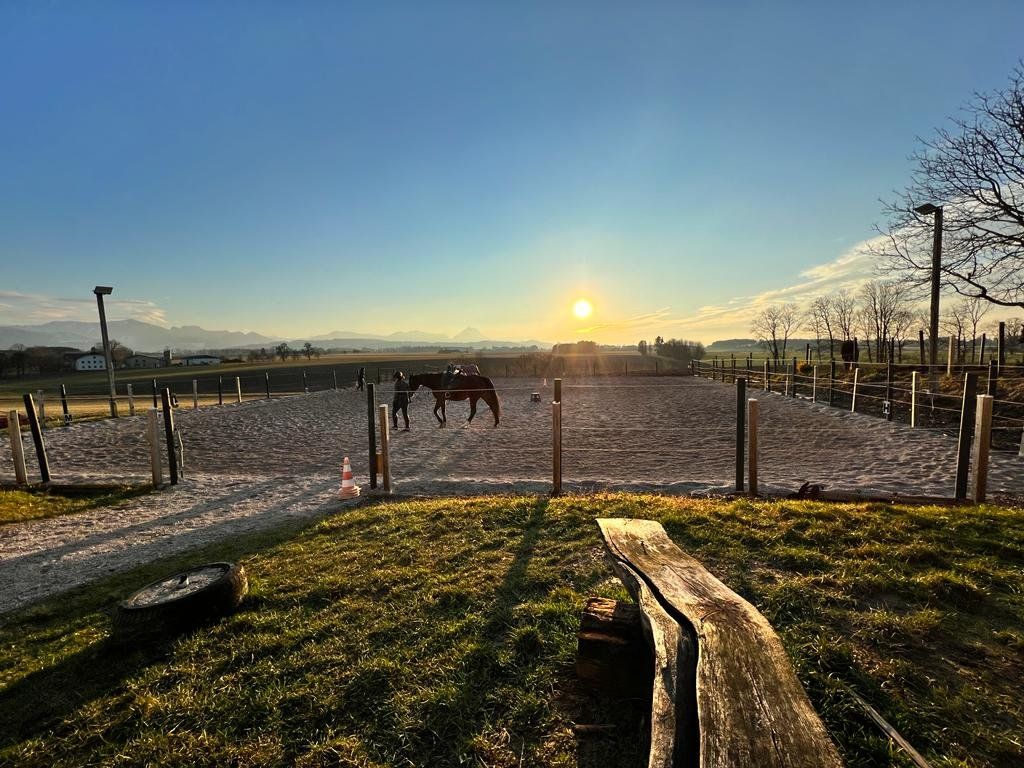 Abendstimmung am Reitplatz
