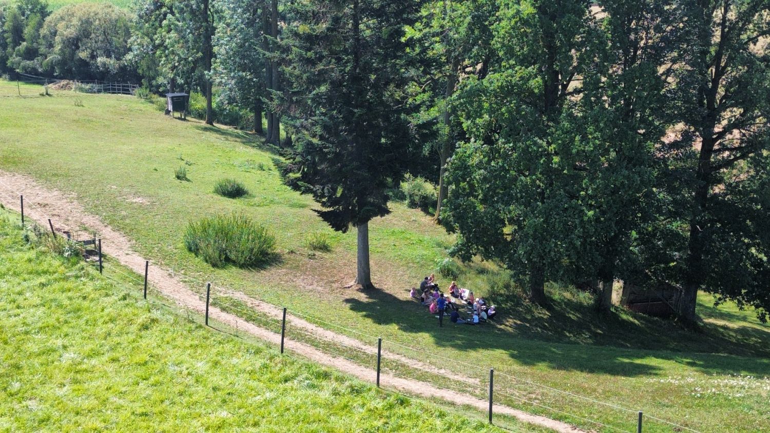 Unterricht im Grünen