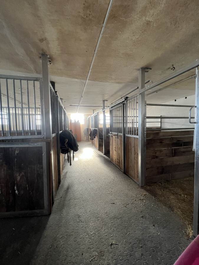 Stallgasse mit Boxen und Gummiboden