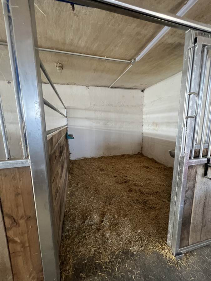 Geräumige Box mit Sägespänen und Wassertränke