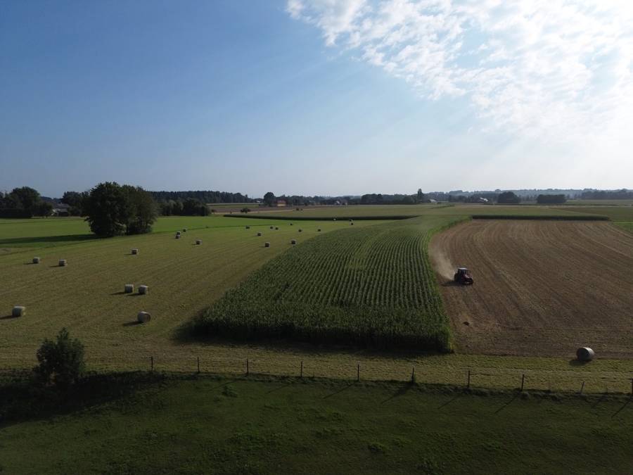 Heuballen und Traktor auf den Feldern