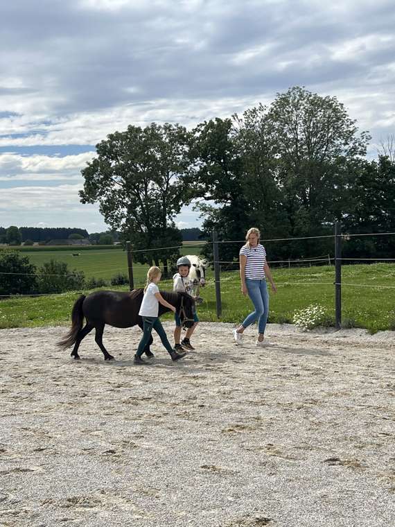 Pony führen