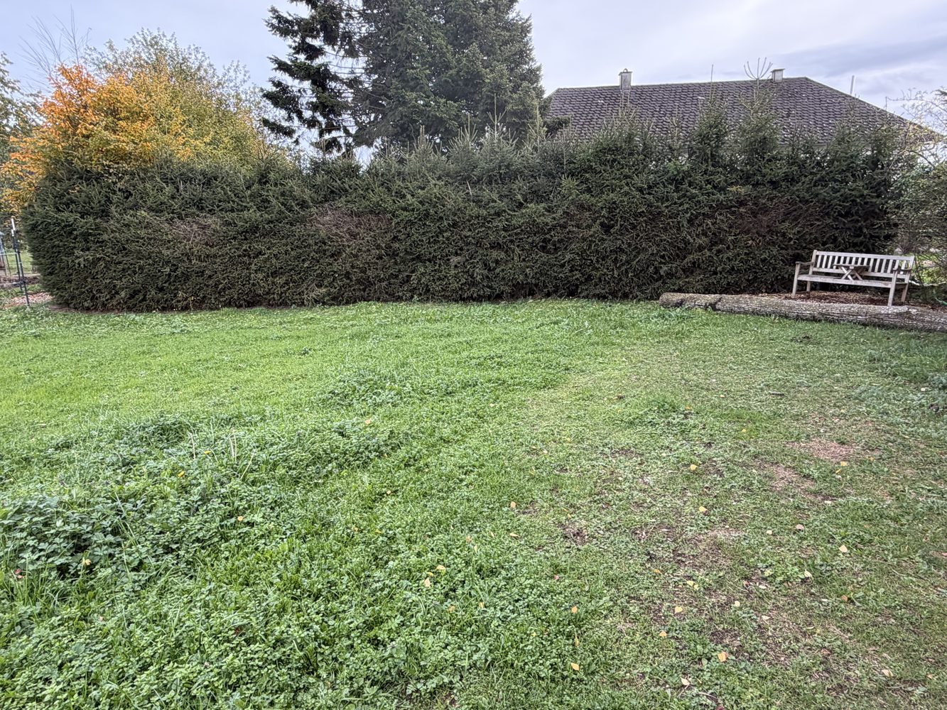 Der abgeschirmte Coaching-Bereich: Wiese mit hoher Hecke und einer Bank