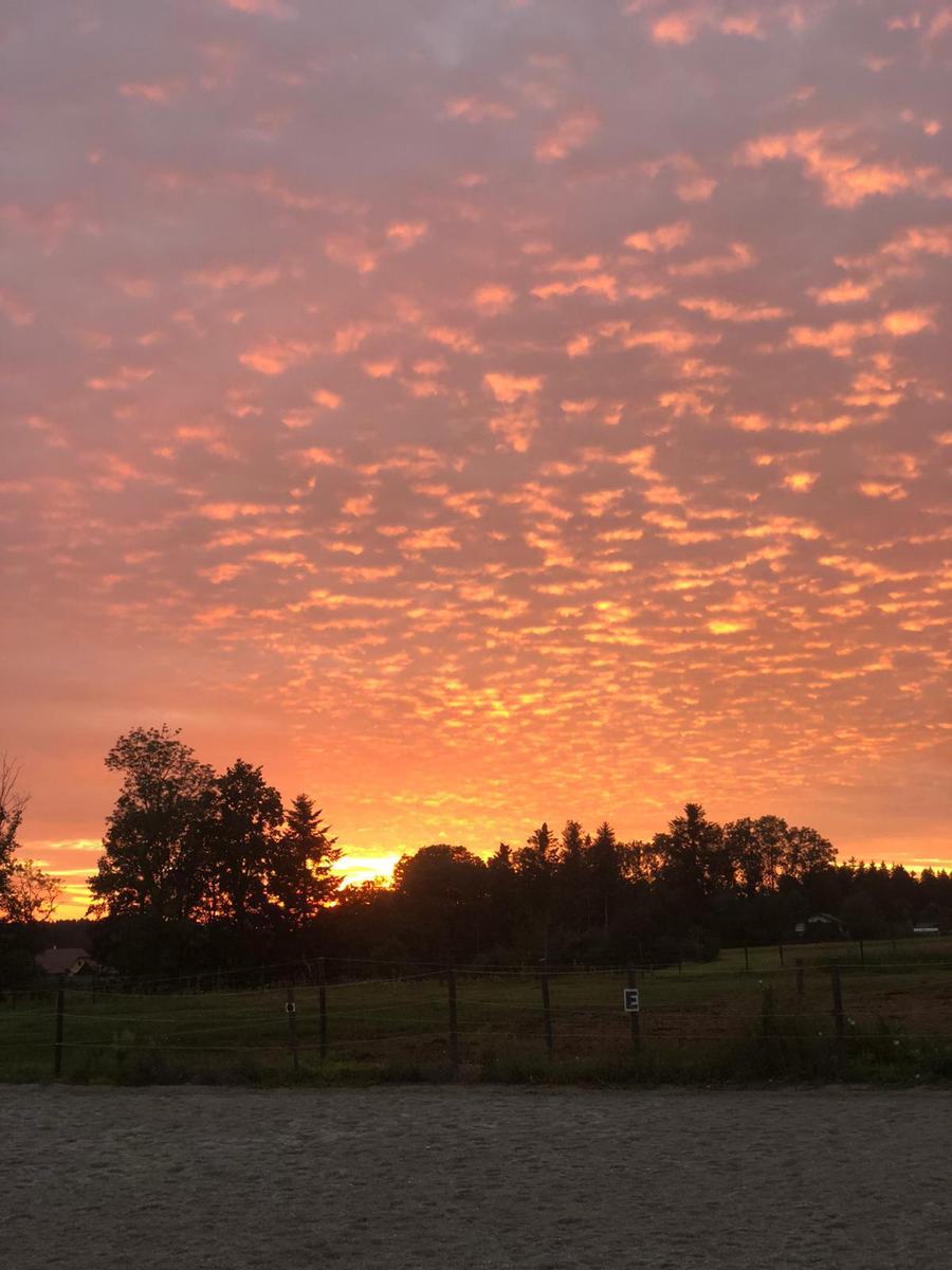 Sonnenaufgang über dem Reitplatz